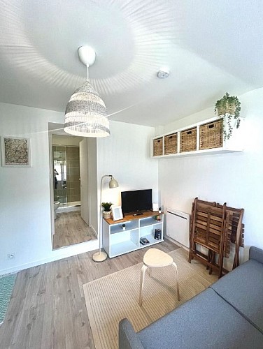 Vue de la pièce principale du studio, avec canapé tv et rangements