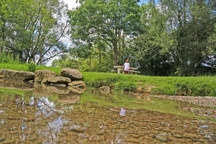 Picnic area - bras sur meuse