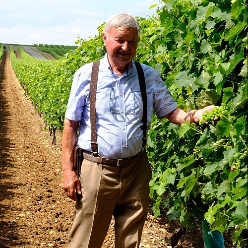 Domaine Guy Bonnaud