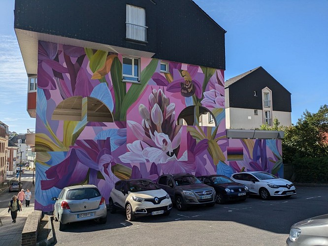 Iris, Ophris, Dactylorhiza 3