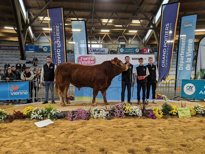 earl des prés_Dienné (1)