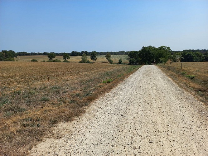 Attention : descente - grosses pierres