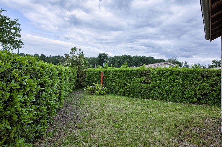 Suy Broye - HOSTENS - Sud-Gironde