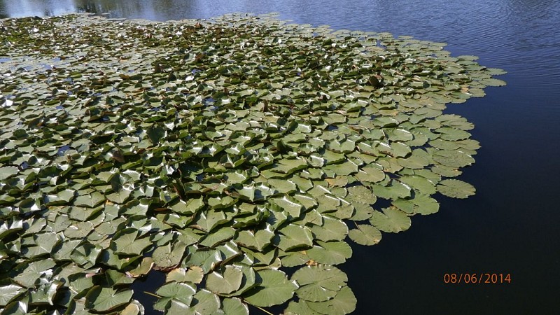 monsieur Basquin (14)