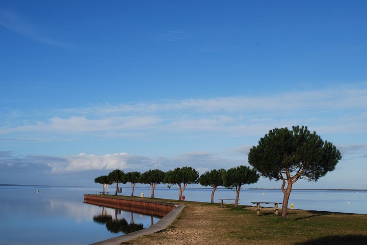 monsieur Basquin (16)