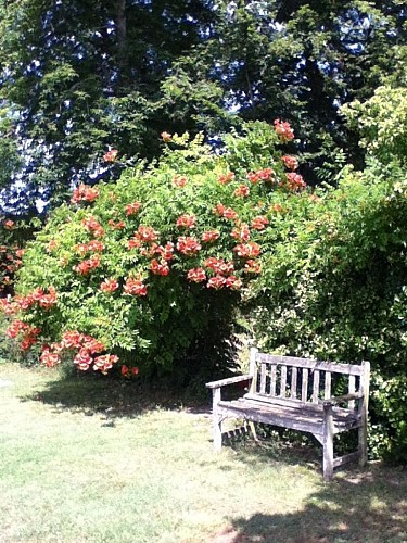 Gite Bellevue4207_Cubzac les ponts_jardin3_800x600