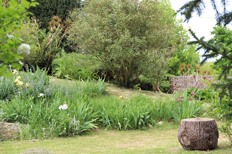 Les-Oiseaux---CASTETS-ET-CASTILLON---Sud-Gironde-3