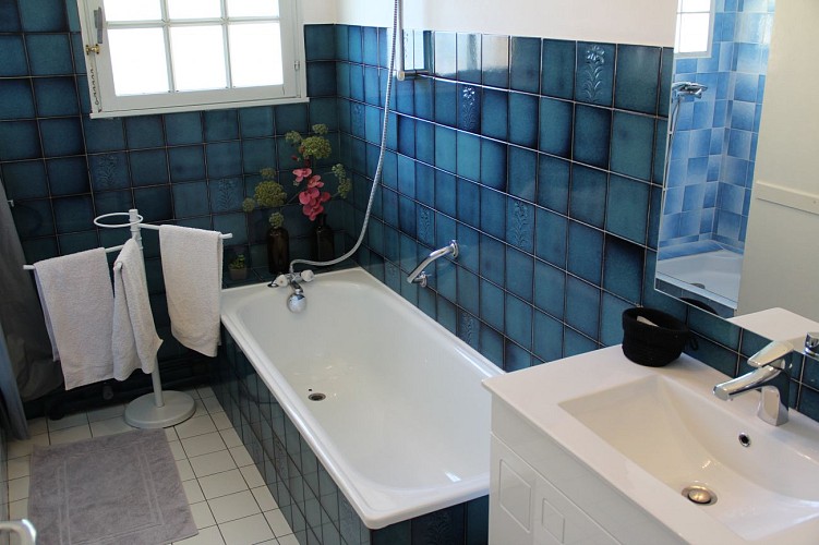 Les-Oiseaux---CASTETS-ET-CASTILLON---Sud-Gironde-1