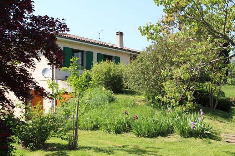 Les Oiseaux - CASTILLON-DE-CASTETS - Sud-Gironde