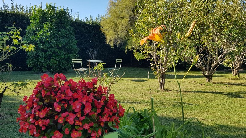 10 Jardin devant terrasse