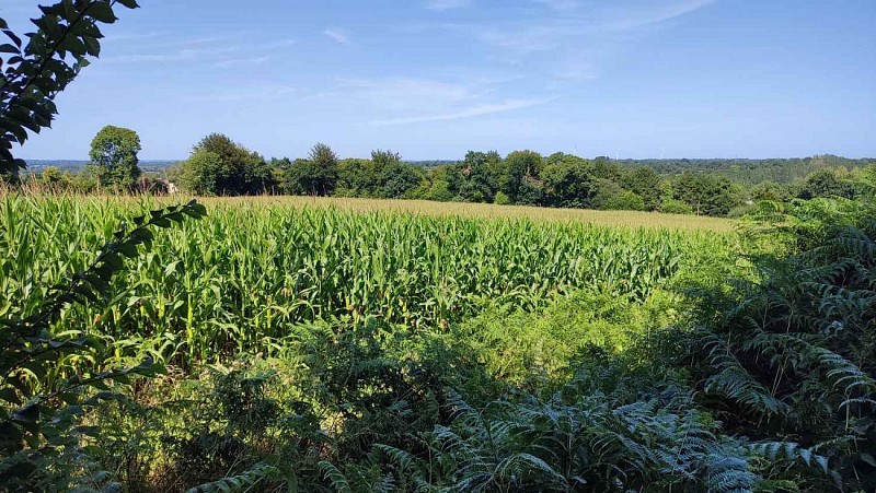Hors chemin - Galére 