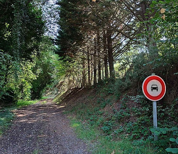 Chemin d'exploitation