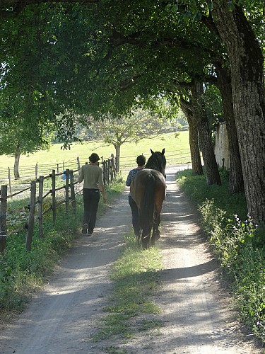 Haras du Don