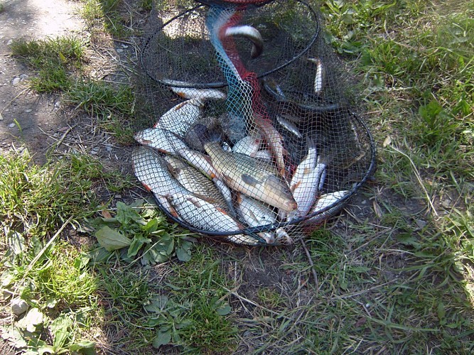 Fishing at the Lauvitel Lake