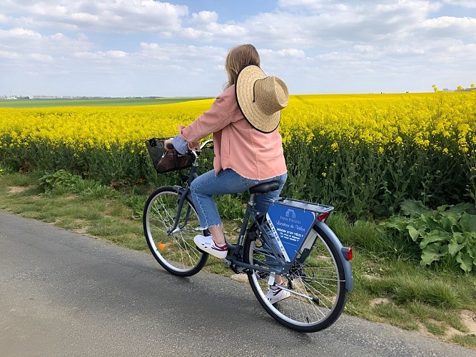 sortie-velo-champs-ferme-fouques