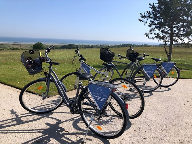 ferme-fouques-velo-arbre