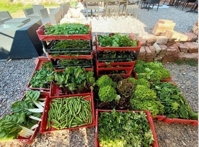 La ferme rouge et vert