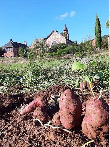 la_ferme_rouge_et_vert_3_2