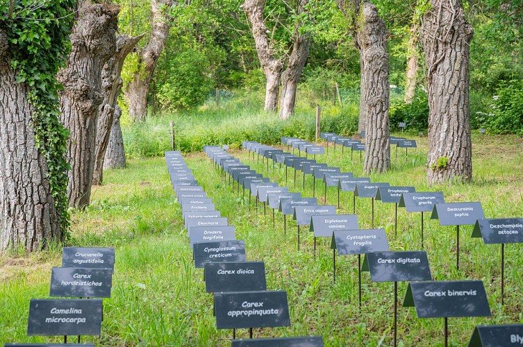 valDeSully-14052023-guillaumepayen-5