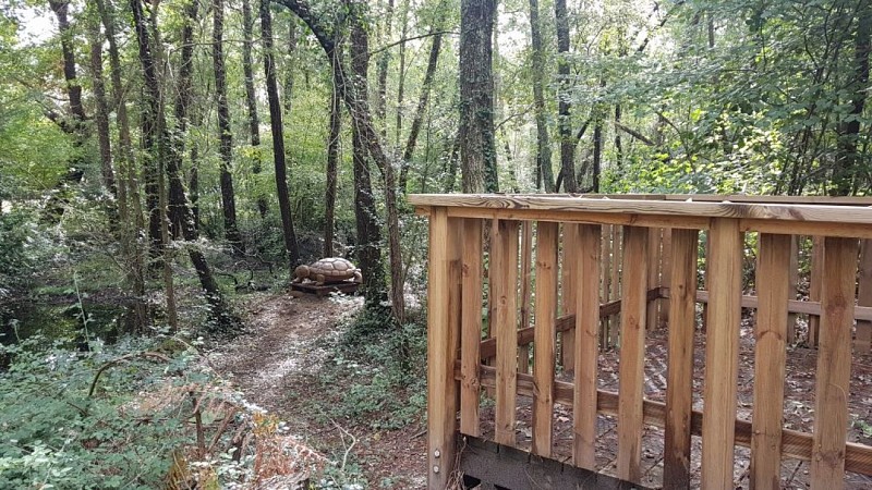 scuplture-tortue-cistude-parc-Birabeille-Mier-Andron_10082020-1-1024x576