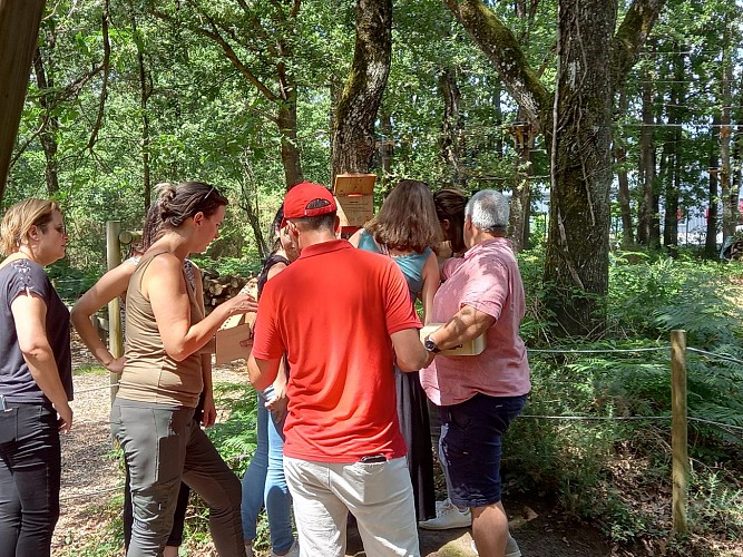 Accro Scape au Parc Saumur Forest Aventures