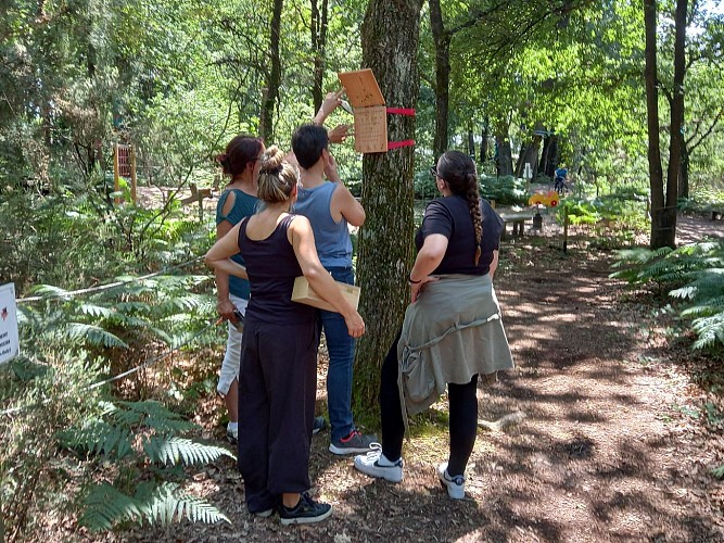 Accro Scape au Parc Saumur Forest Aventures