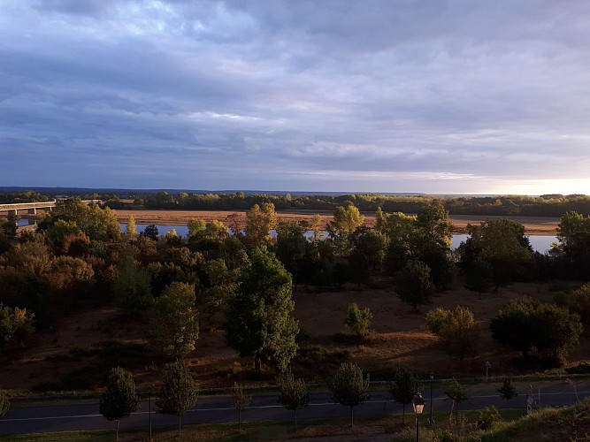 Marché des vins de Loire