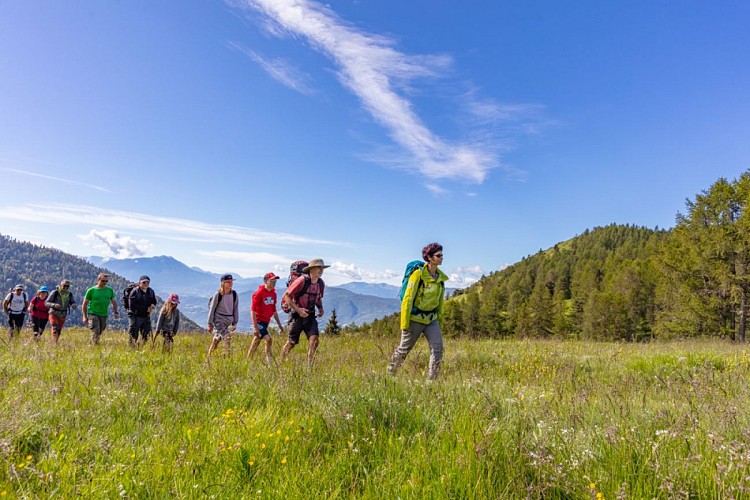 Randonnée avec les accompagnateurs en montagne