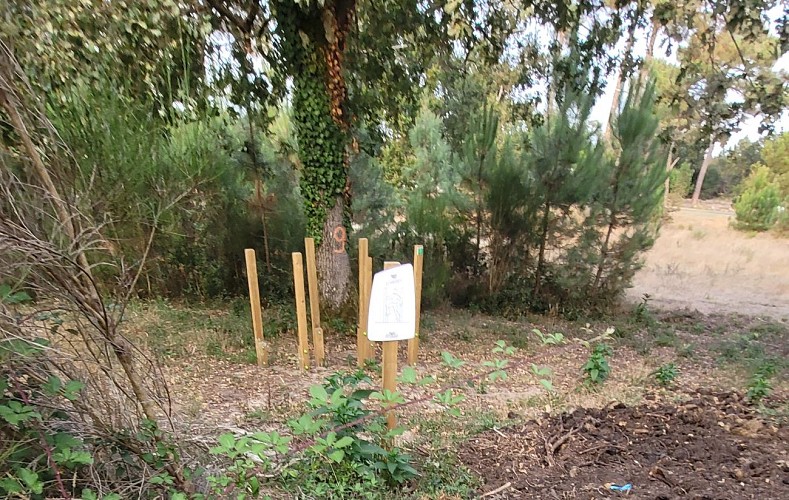 Parcours santé pour les enfants