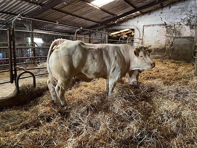 La ferme de l'Héraudière1