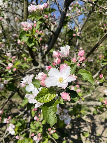 La Pagosie : aires de camping-car