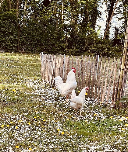 La Pagosie : aires de camping-car