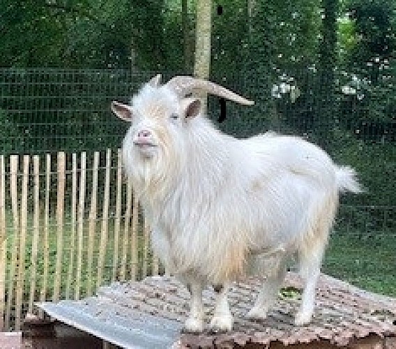 La Pagosie : aires de camping-car