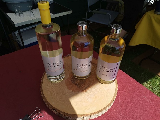 453245557_122181270818193374_3486876874648355738_n