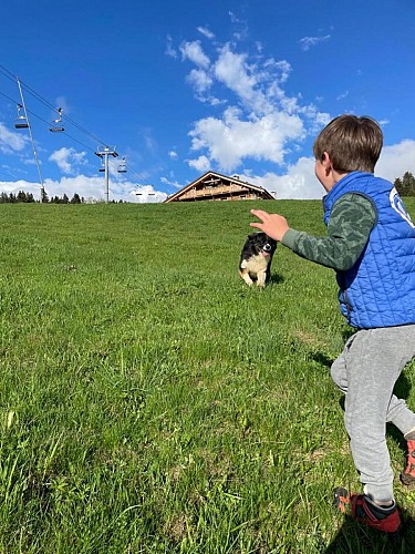 GÎTE LA TÊTE DE MULE