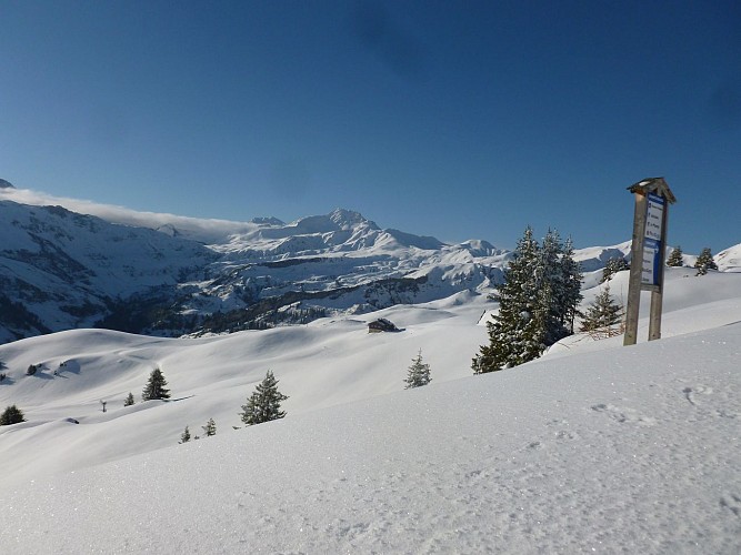 L'alpage - restaurant