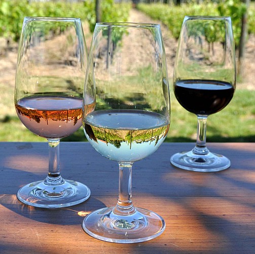 Cave Stéphanie Guillot