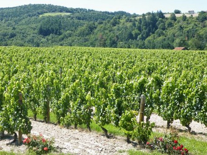 Domaine du Poyet