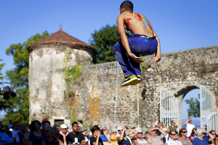 Château de Goutelas, Centre Culturel de Rencontre