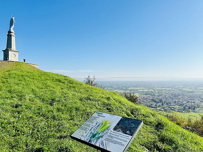 Champdieu, village de caractère