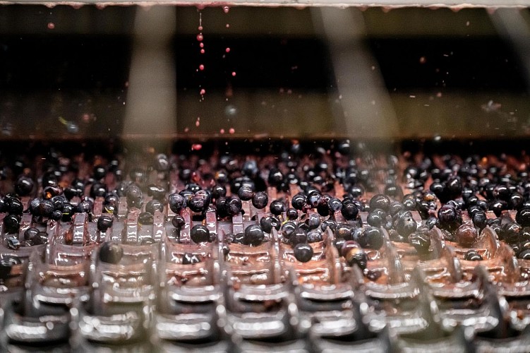 Winzer Gilles Bonnefoy- Domaine de La Madone