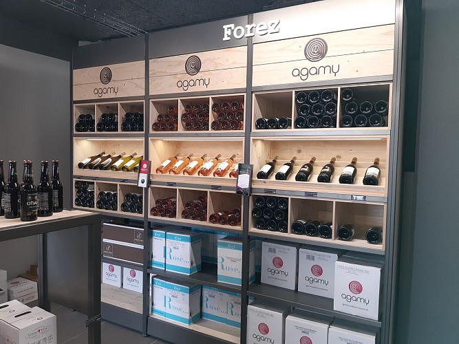 Agamy - Vilavigne - Trelins