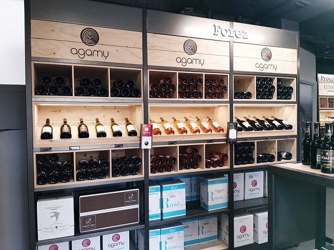 Agamy - Vilavigne - Trelins