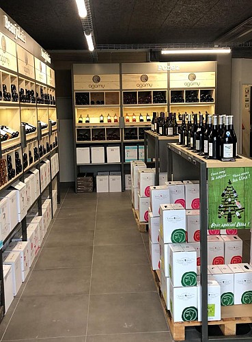 Agamy - Vilavigne - Trelins