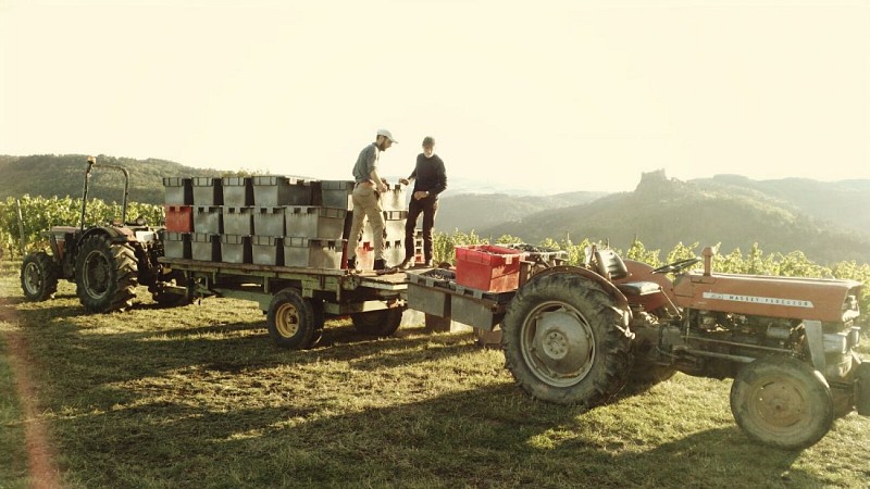 Agamy - Vilavigne - Trelins