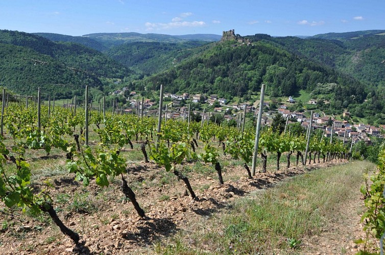 Agamy - Vilavigne - Trelins