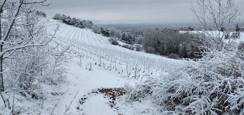 Domaine des Terrasses