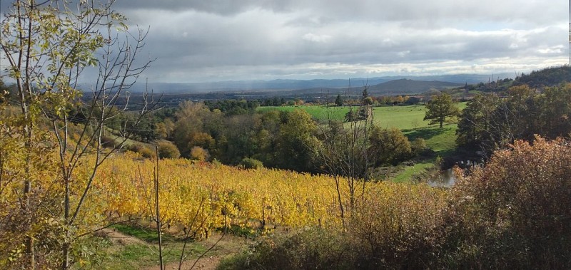 Domaine des Terrasses