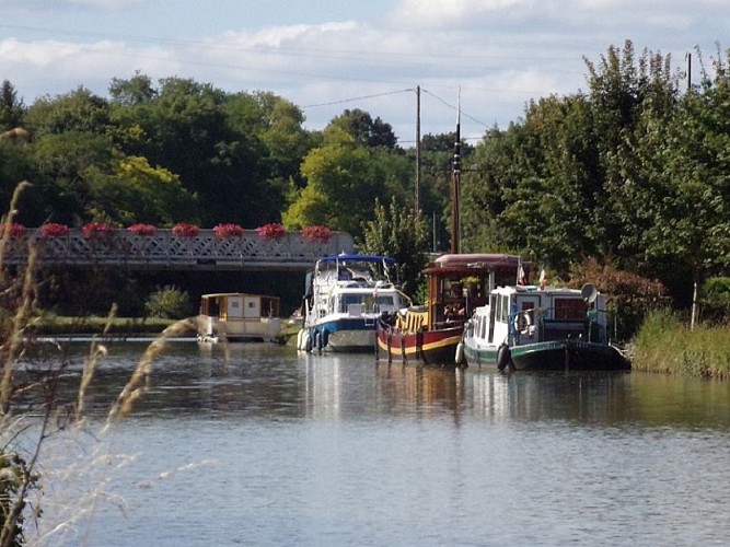 Beaulieu sur Loire - halte nautique 12 août 2016 (15)- OT Terres de Loire et Canaux -I.Rémy (1)