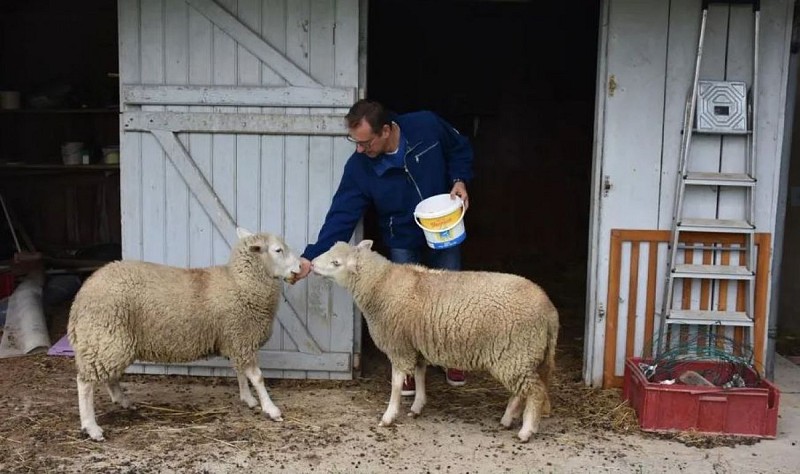 ST FIRMIN - ferme pédagogique Stéphane Bouteltreault